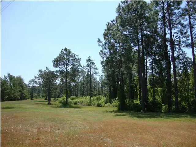 11802 Highway 77, Southport, FL 32409 - Image #3