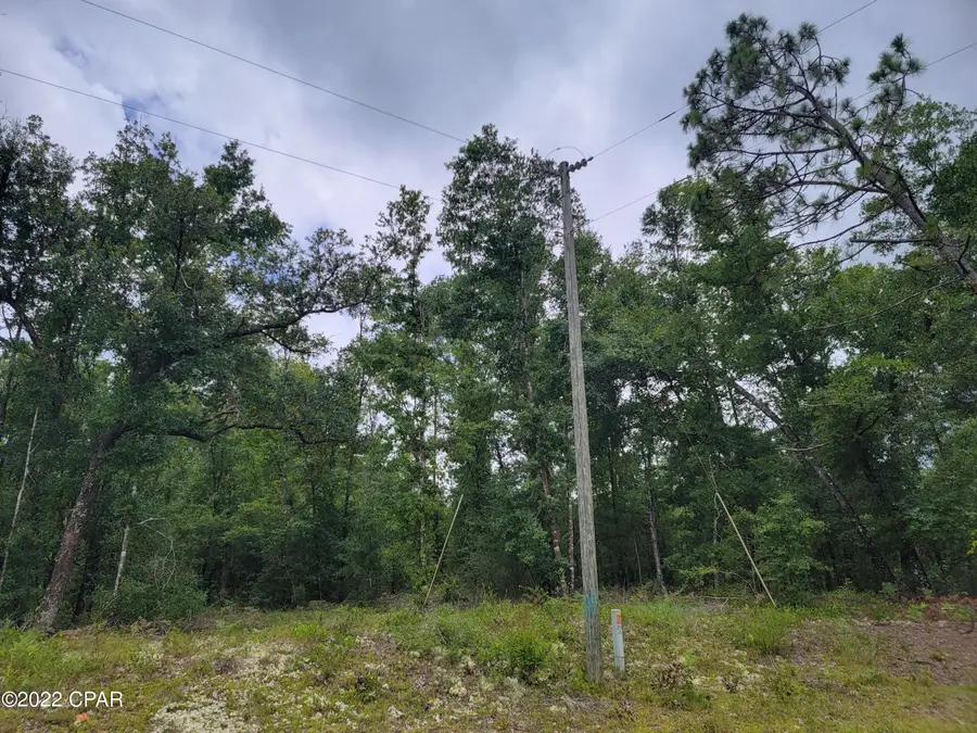 0 Koskiusko Drive, Alford, FL 32420 - #3
