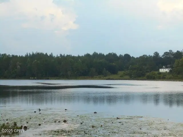 000 Drury Lane, Alford, FL 32420 - Image #2