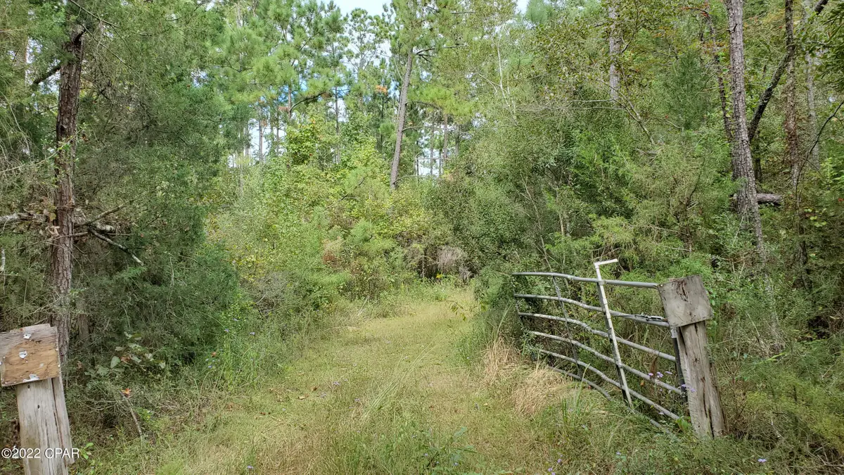 00 Buttercup Lane, Marianna, FL 32446 - #1