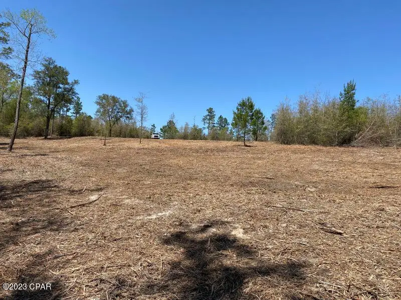 0 Holmes Valley Road, Vernon, FL 32462 - Image #2