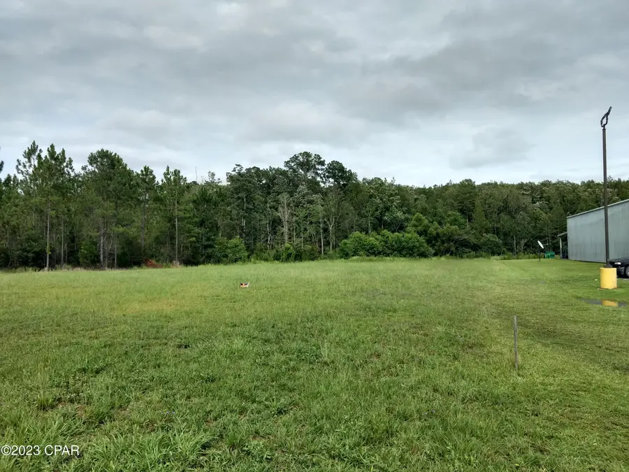 0 S Hwy 79 Street, Bonifay, FL 32425 - Image #2