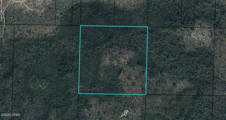 0 NW Camp Head Road, Altha, FL 32421 - Image #3