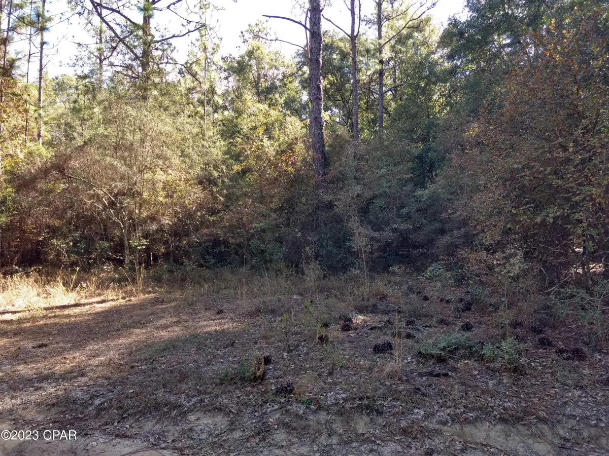 0 Little John Lane, Bonifay, FL 32425 - Image #1