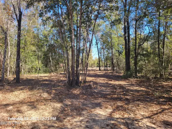 00 Tommy Tucker Road #Lot 3, Altha, FL 32421