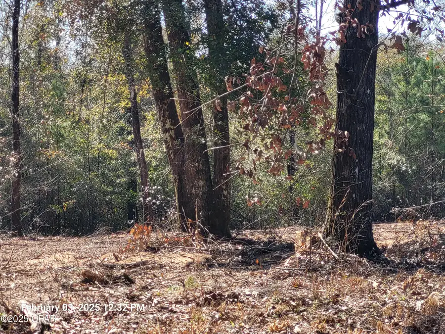00 Tommy Tucker Road #Lot 3, Altha, FL 32421 - Image #2