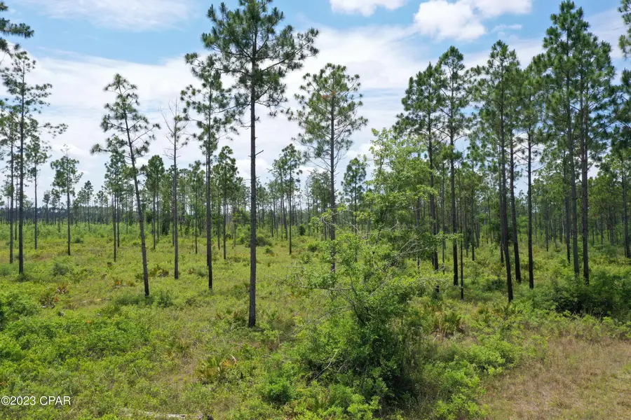 19732 Timbercrest Road, Fountain, FL 32438 - Image #3