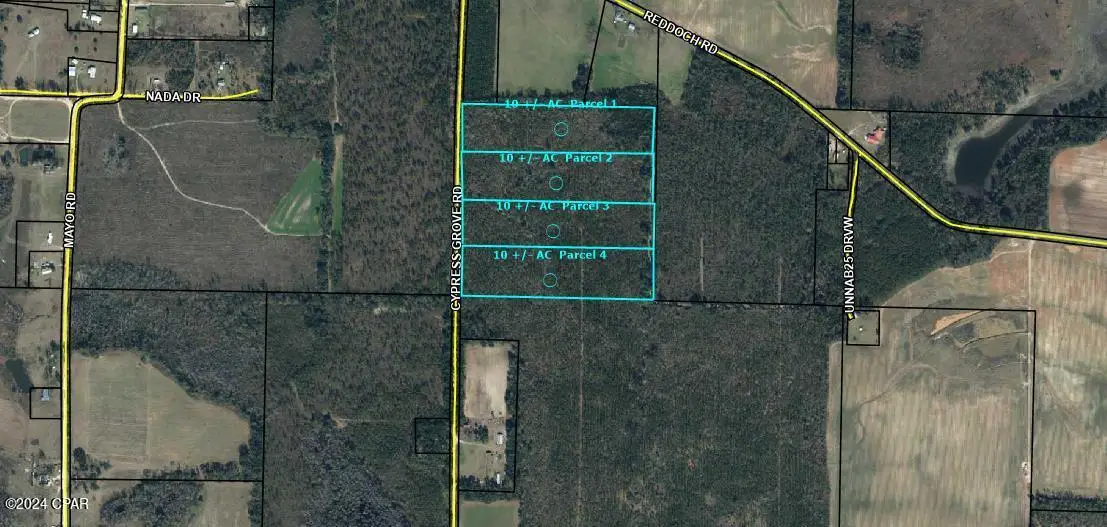 0 Cypress Grove Road, Grand Ridge, FL 32442 - Image #1