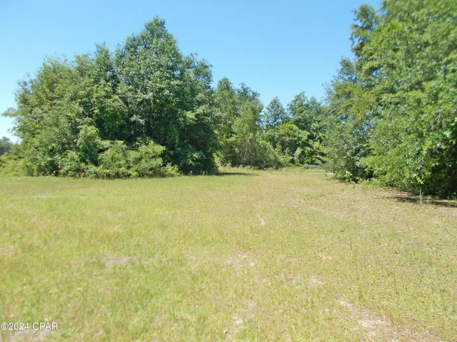 1Ac Melon Lane, Grand Ridge, FL 32442 - Image #3