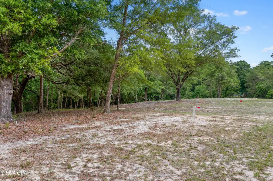 3513 River Road, Vernon, FL 32462 - Image #3