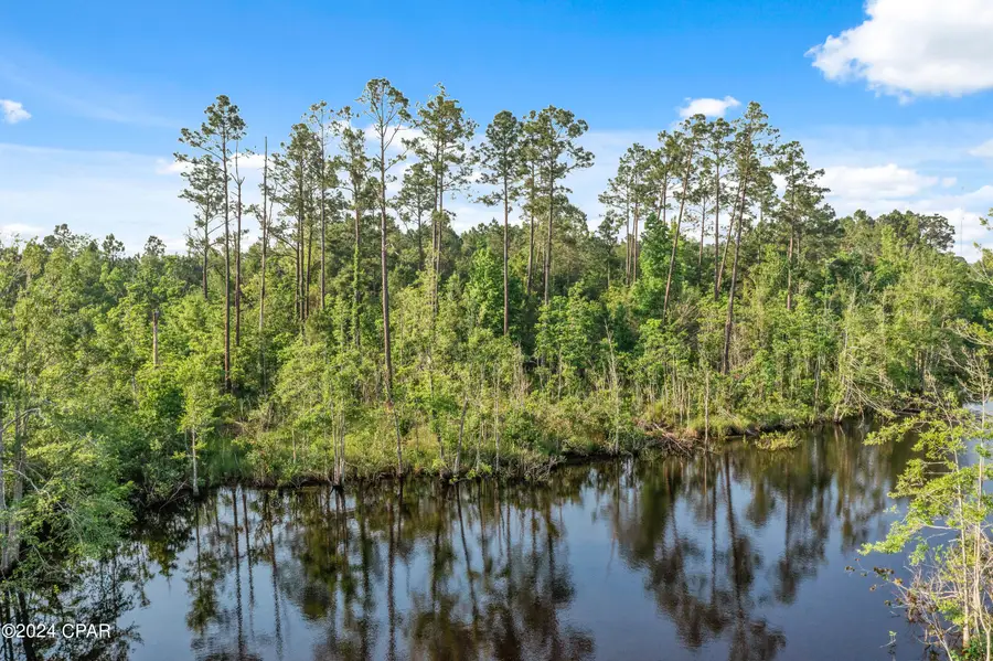 XXX Kirkland Road #Lot 3, Chipley, FL 32428 - Image #2