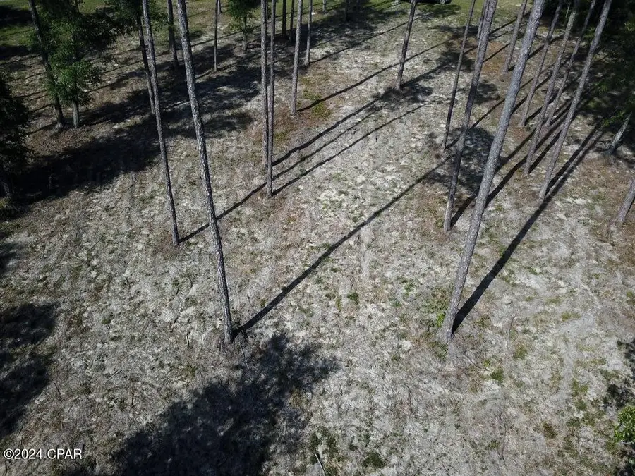 TBD Vancouver Drive, Alford, FL 32420 - Image #3