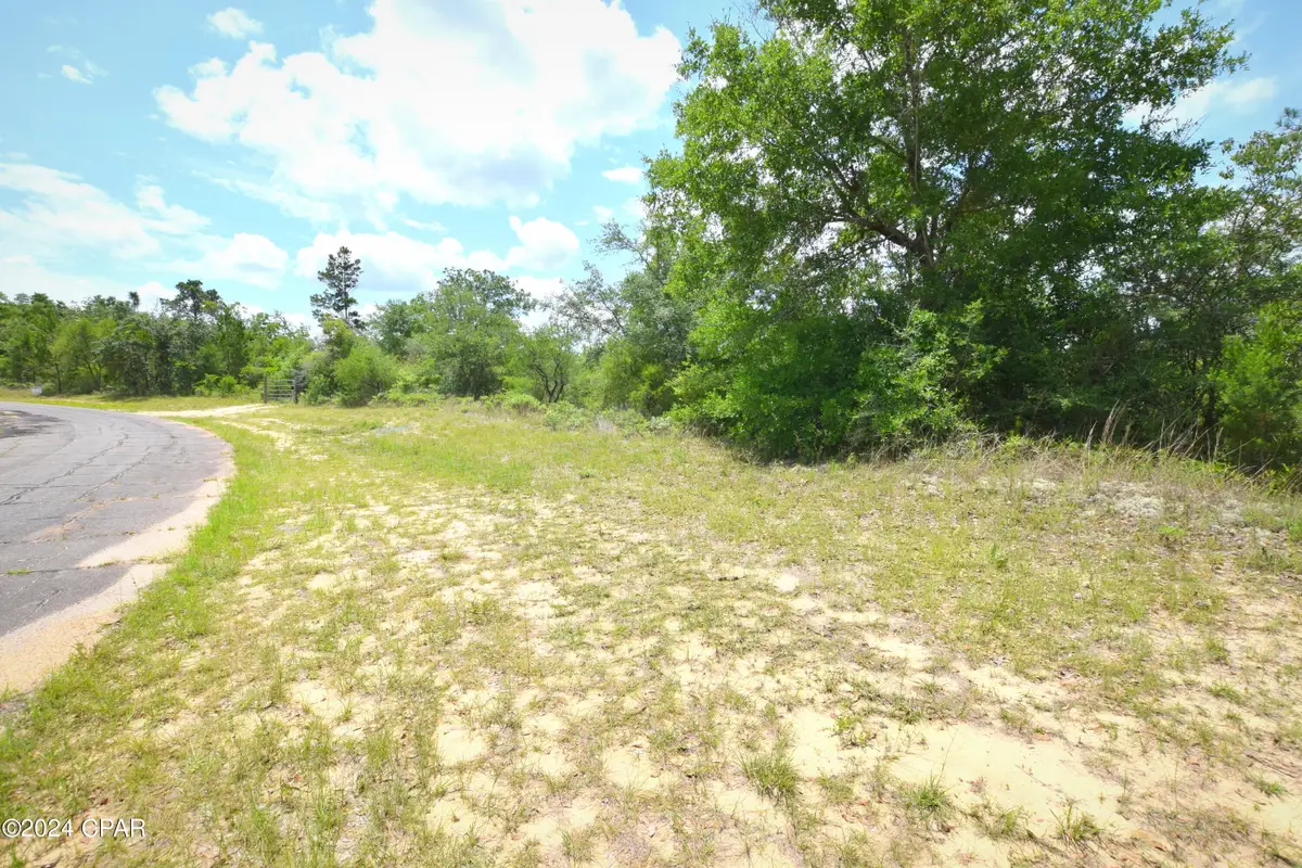 TBD Lot 40 Bluestone Drive, Chipley, FL 32428 - Image #1