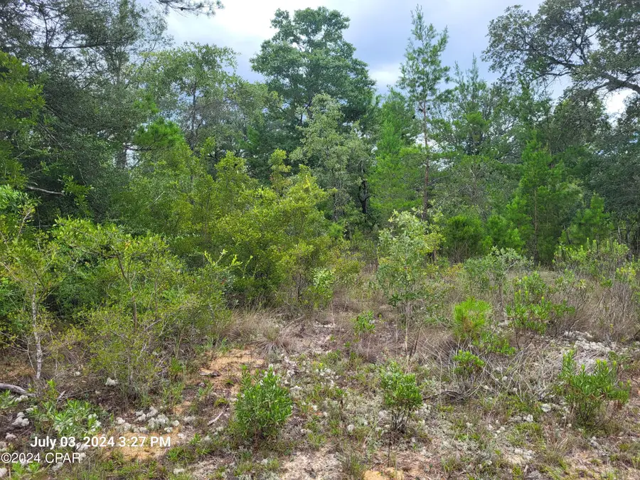 00 Haverhill Drive, Chipley, FL 32428 - Image #2