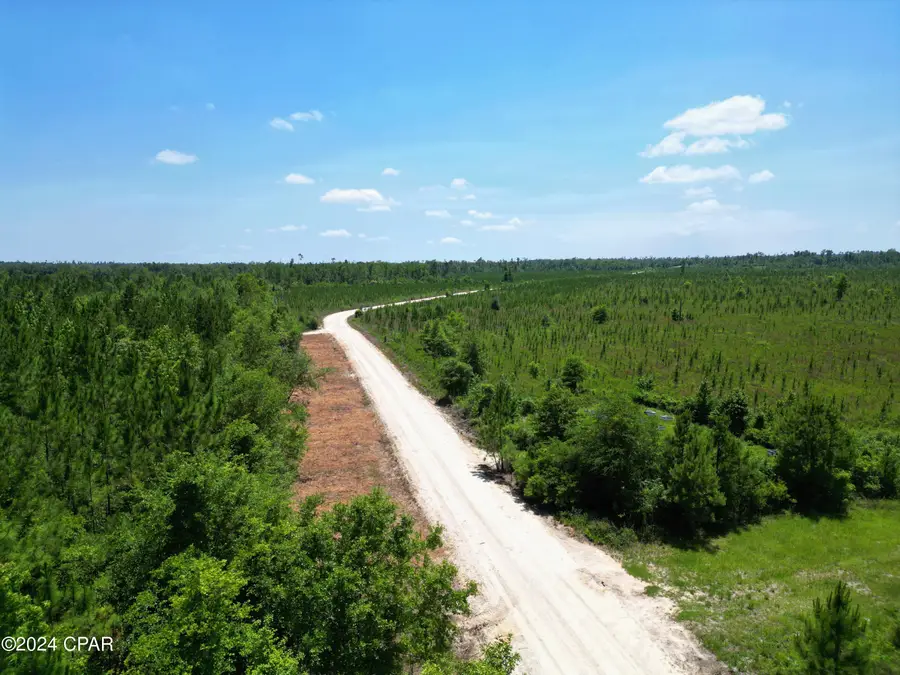 Lot 7 Nw Kb Jones Road, Clarksville, FL 32430 - Image #2
