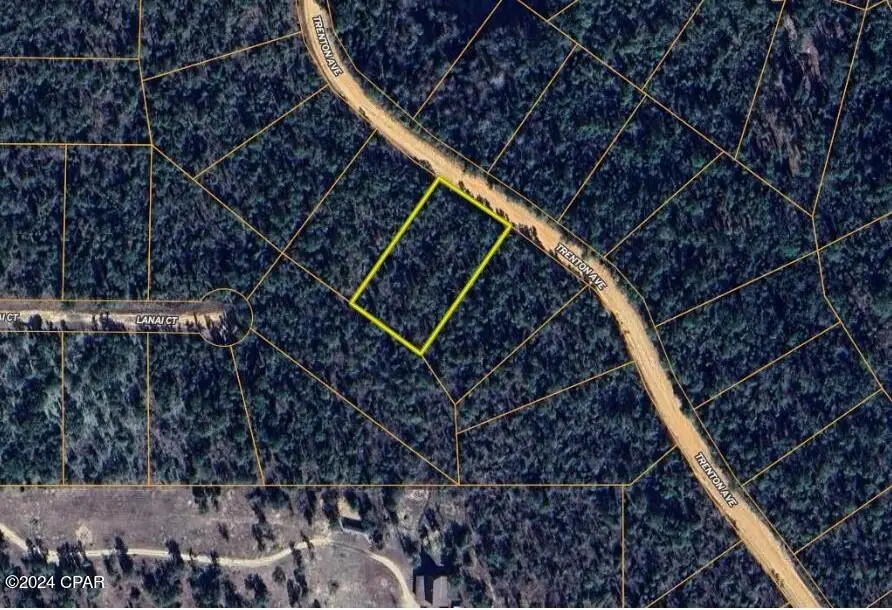 Lot 28 Trenton Avenue, Alford, FL 32420 - Image #2