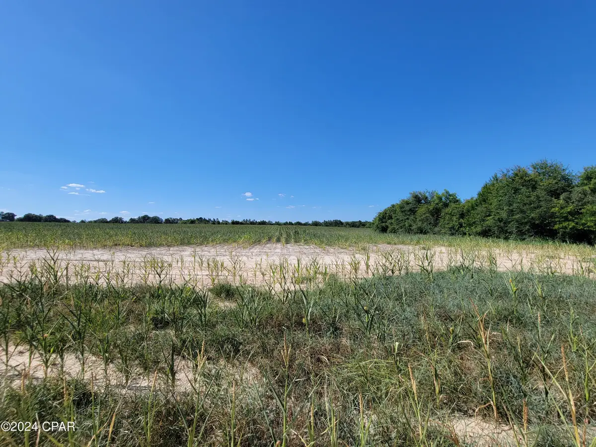 Lot 3 Bradley Road, Westville, FL 32464 - Image #1