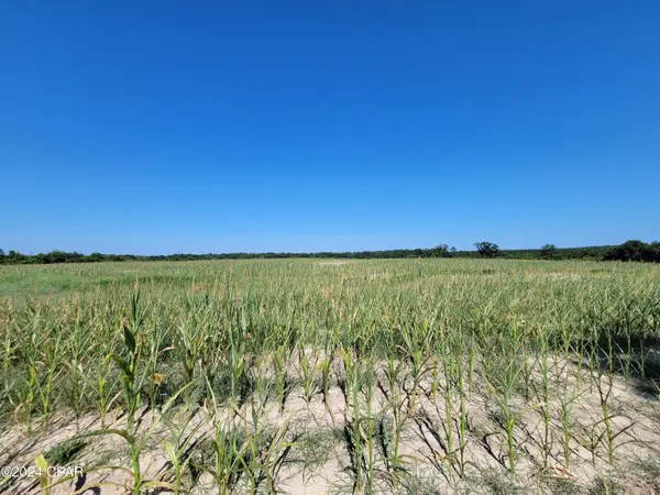 Lot 4 Bradley Road, Westville, FL 32464