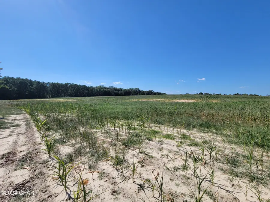 Lot 4 Bradley Road, Westville, FL 32464 - Image #2