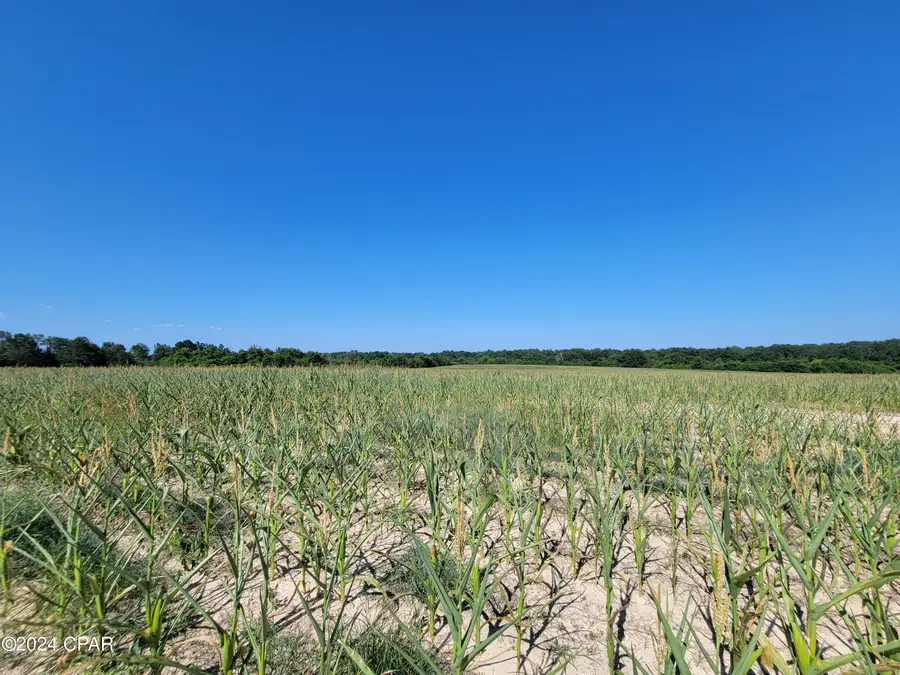 Lot 4 Bradley Road, Westville, FL 32464 - Image #3