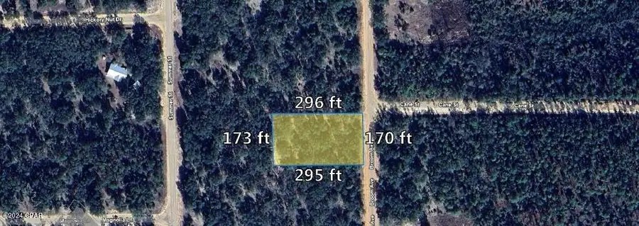 O Broom Avenue, Marianna, FL 32448 - Image #2