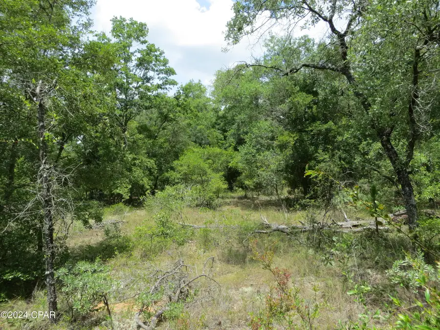 0000 Moss Hill Road, Chipley, FL 32428 - Image #2
