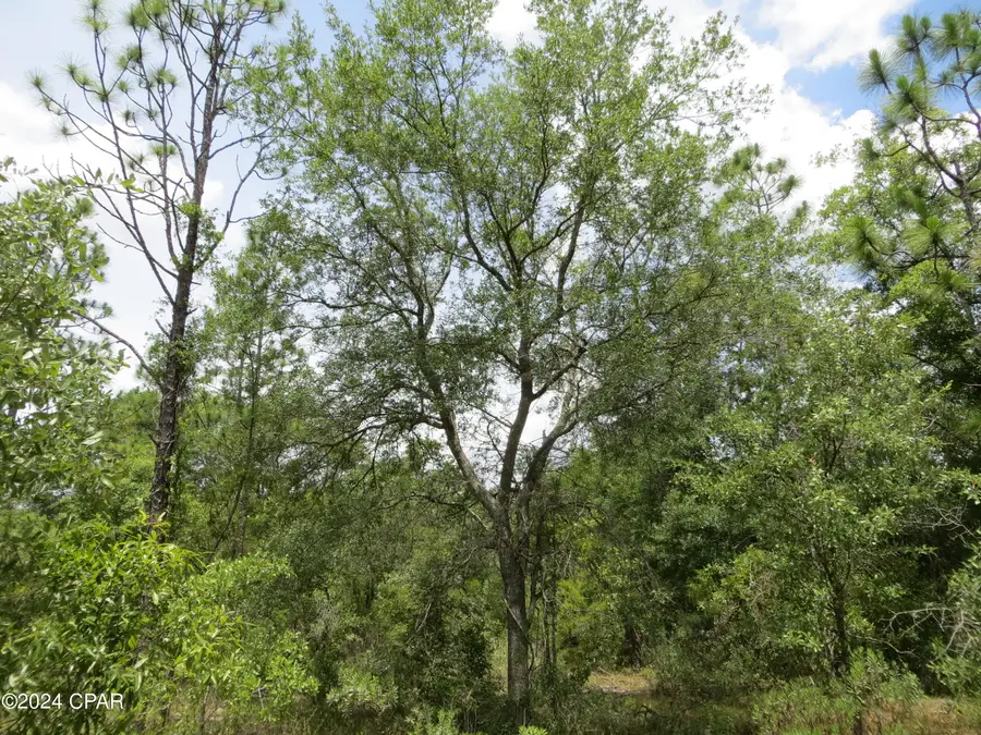 0000 Moss Hill Road, Chipley, FL 32428 - Image #3