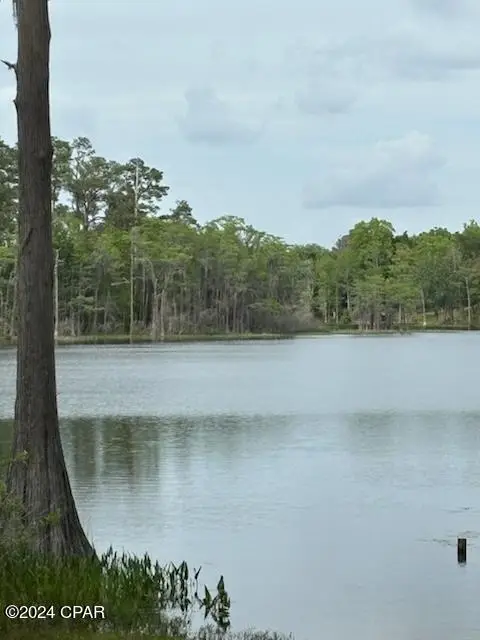 Lot 20 Magnolia Drive, Chipley, FL 32428 - Image #1