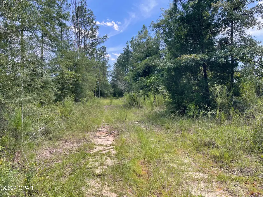 2826 Irene Street, Ponce De Leon, FL 32455 - Image #3