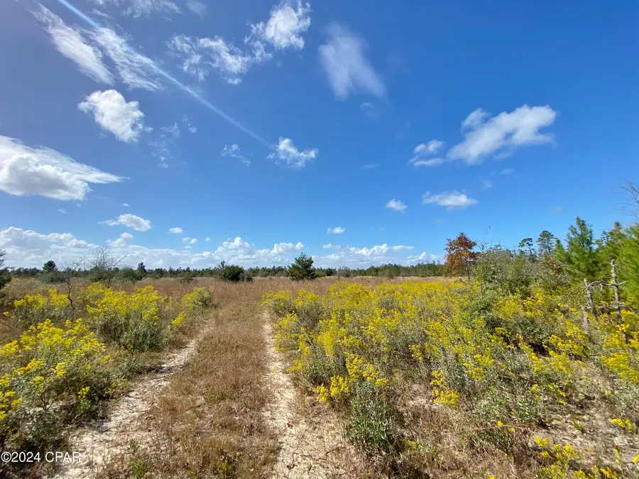 21332 NW Melvin New Grade Road, Altha, FL 32421 - Image #3