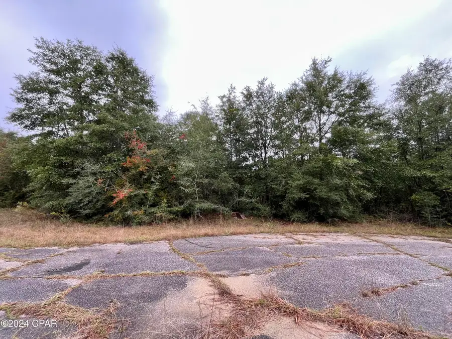 Lot 21 Vicki Court, Chipley, FL 32428 - Image #2