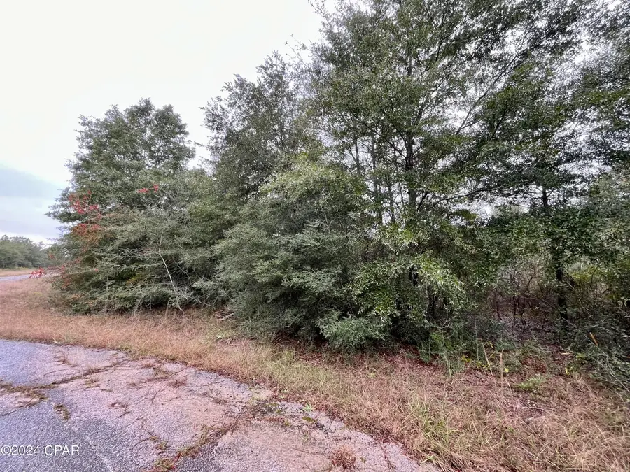 Lot 21 Vicki Court, Chipley, FL 32428 - Image #3