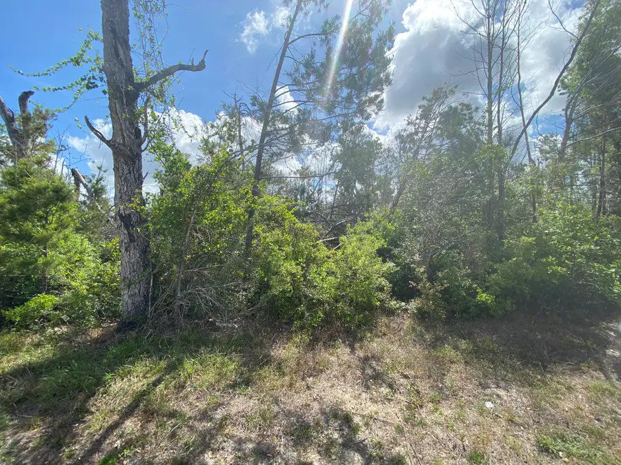 405 Meadowview Terrace #LOT 3, Lynn Haven, FL 32444 - Image #2