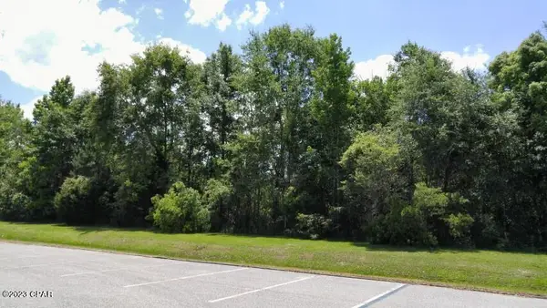 XX NW Cr 12, Bristol, FL 32321