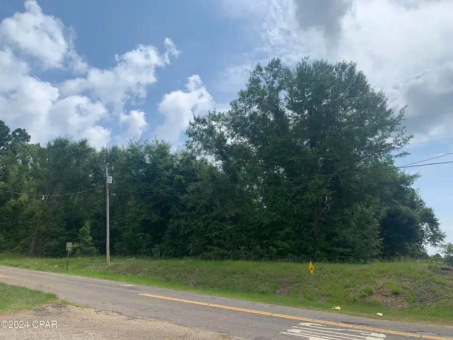 00 U. S. Highway 90, Sneads, FL 32460 - Image #2