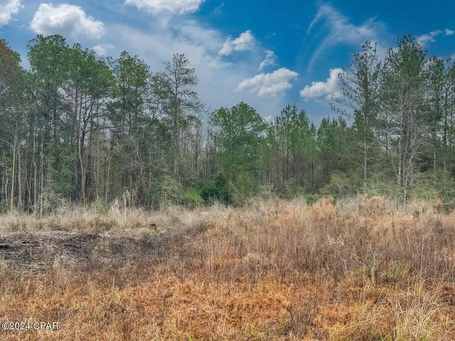 Tract#6409 Davis Road River Road, Caryville, FL 32427 - #3