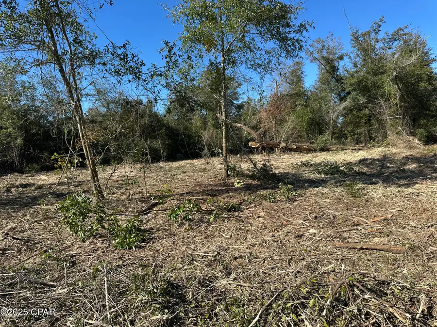 31 Indian Bluff Drive, Youngstown, FL 32466 - Image #3