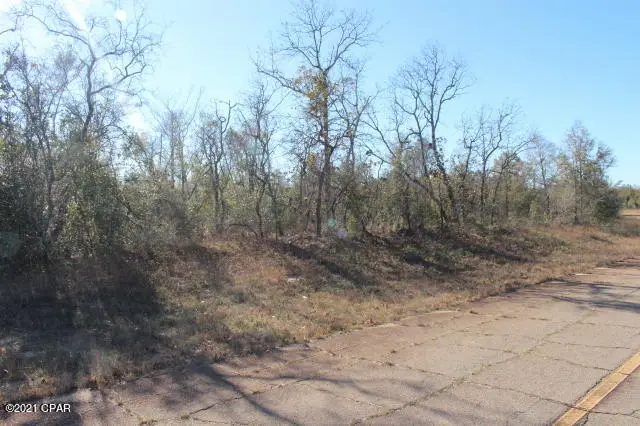 0 Linden Street #Lot 4, Chipley, FL 32428 - Image #2