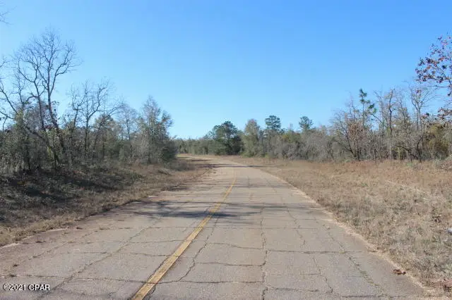0 Linden Street #Lot 4, Chipley, FL 32428 - Image #3