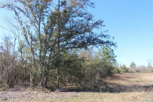 0 Goodman Hill Road #Lot 45, Chipley, FL 32428 - Image #2