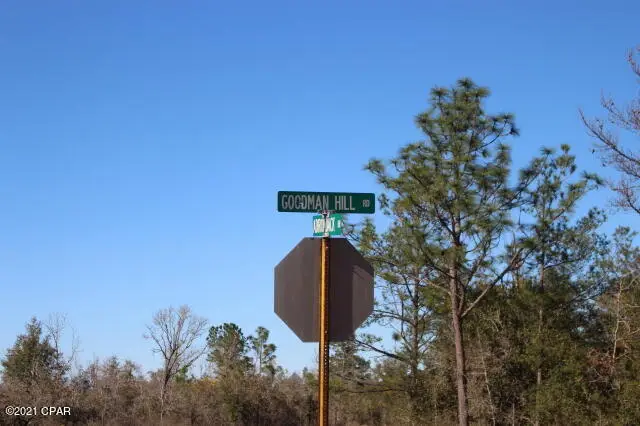 0 Goodman Hill Road #Lot 45, Chipley, FL 32428 - Image #3