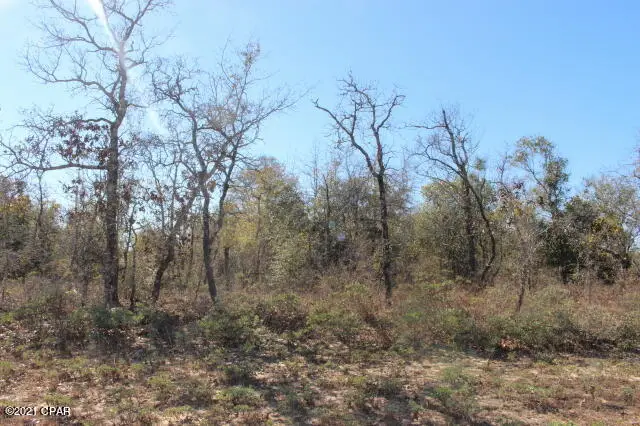 0 Dumont Avenue #LOT 5, Chipley, FL 32428 - Image #1