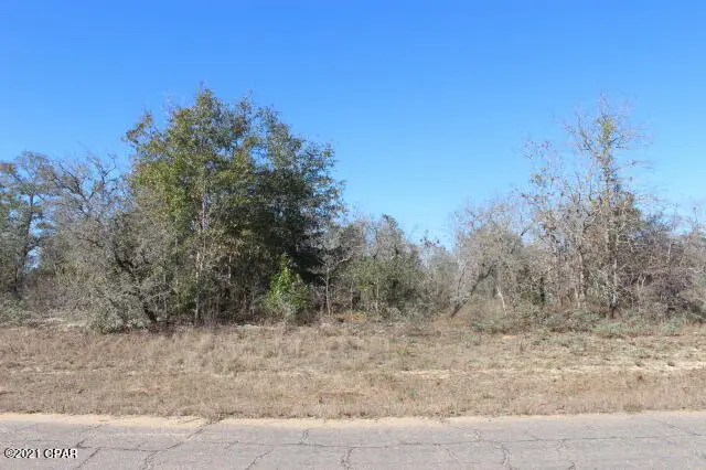 0 Dumont Avenue #Lot 8, Chipley, FL 32428 - Image #1