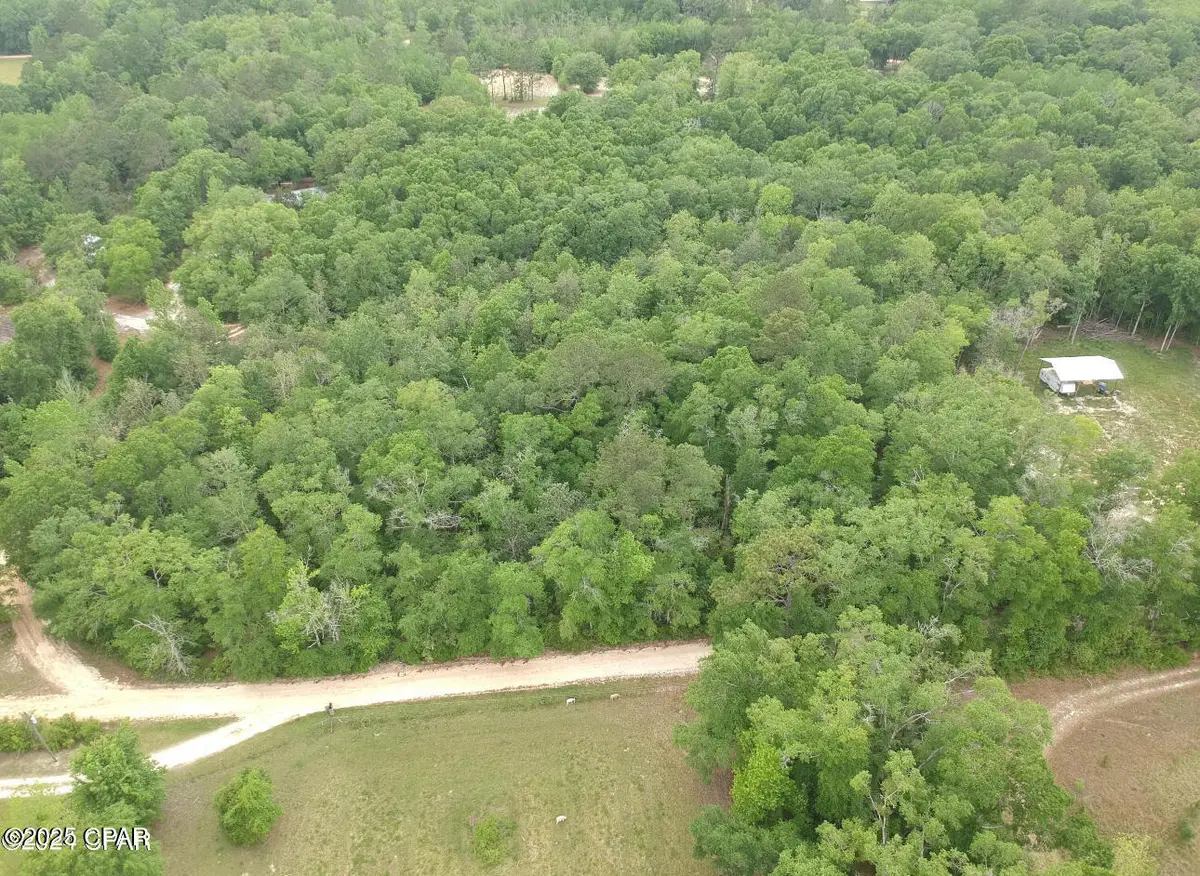 6.67 AC Goat Forehand Lane, Bonifay, FL 32425 - Image #1