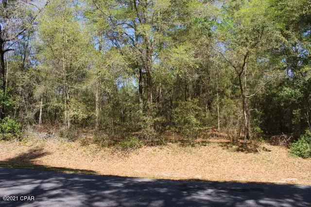 2905 W Gardenia Drive, Citrus Springs, FL 34434 - Image #1