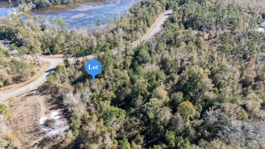 Lot 18 Seven Springs Drive, Wewahitchka, FL 32465 - Image #2