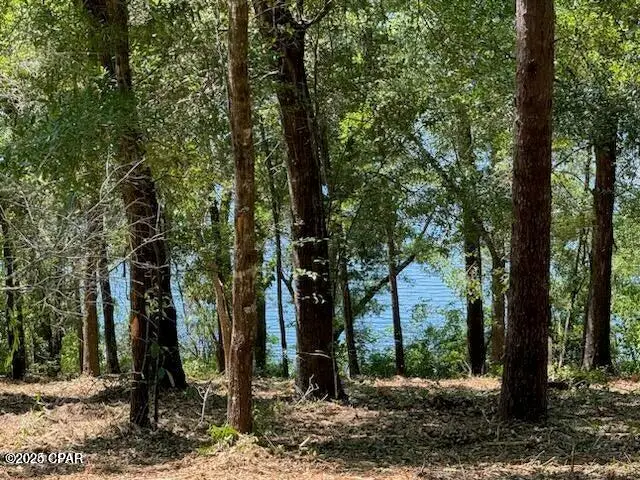 TBD Dove Court, Chipley, FL 32428 - Image #1