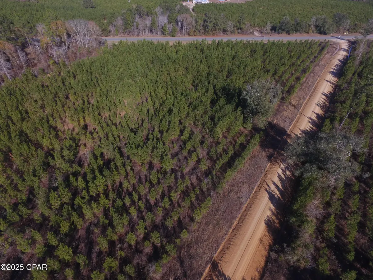 TBD Lot 1 Peanut Road, Cottondale, FL 32431 - Image #1