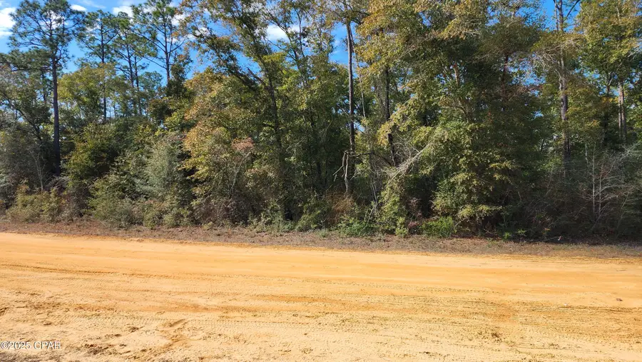0 Breese Court #Lot 29, Alford, FL 32420 - Image #2