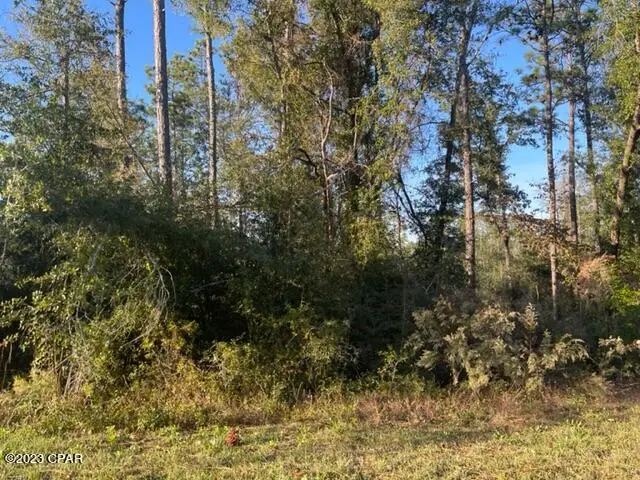 567 Los Padres Avenue, Alford, FL 32420 - Image #2